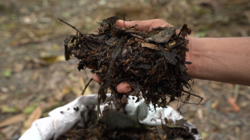 เอกสารปุ๋ย