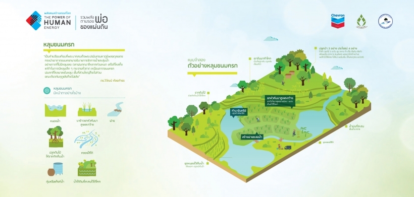 เอกสารหลุมขนมครก